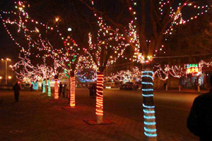 直插LED灯珠应用领域